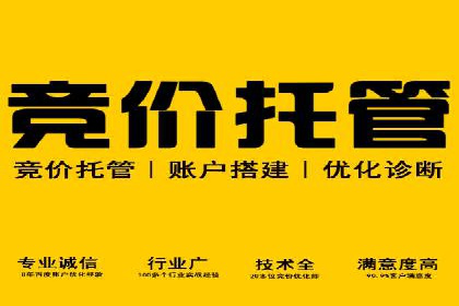 百度视频广告投放技巧：案例分享成功经验